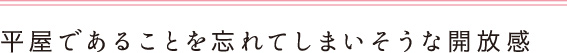 平屋であることを忘れてしまいそうな開放感