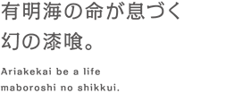 有明海の命が息づく幻の漆喰。